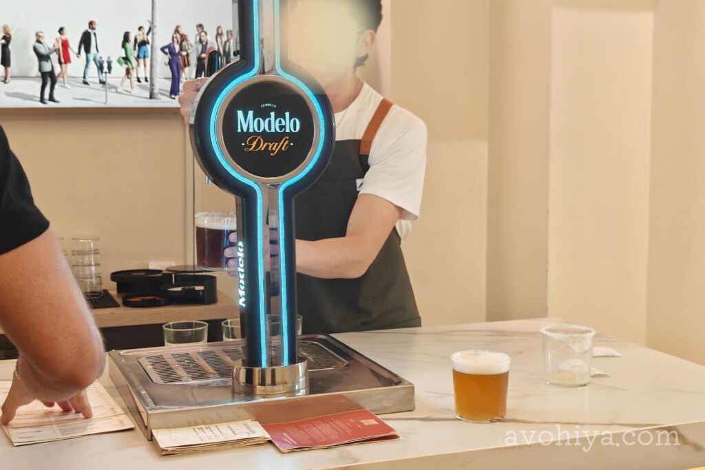 Modelo Draft ウェルカムビア